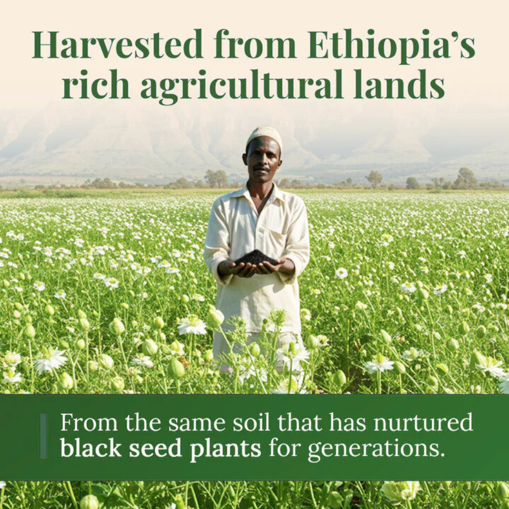 Purely Ethiopian Black Seed