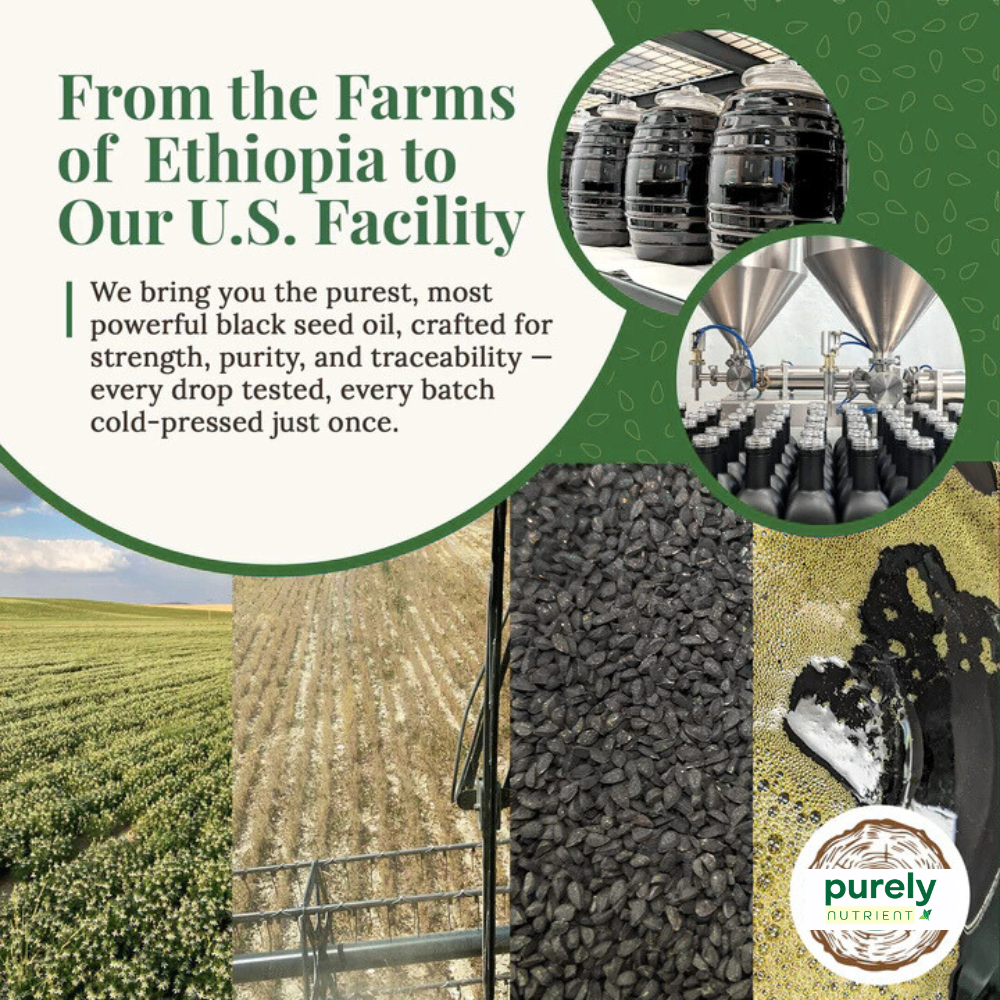 Purely Ethiopian Black Seed